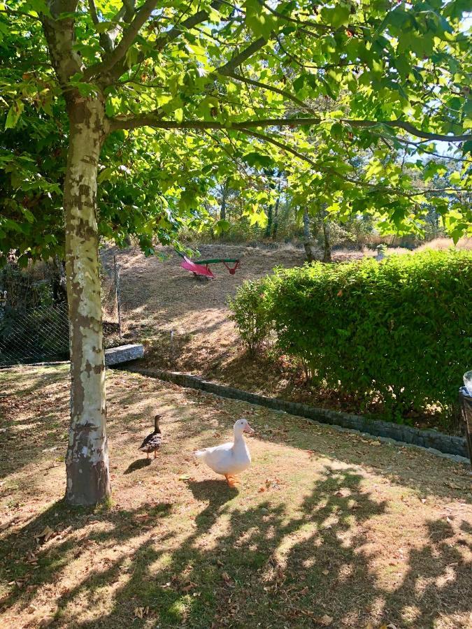 הוילה סלוריקו דה באשטו Casa Da Quinta Da Prelada Simao Partie Basse מראה חיצוני תמונה