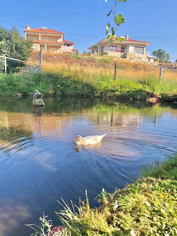 הוילה סלוריקו דה באשטו Casa Da Quinta Da Prelada Simao Partie Basse מראה חיצוני תמונה