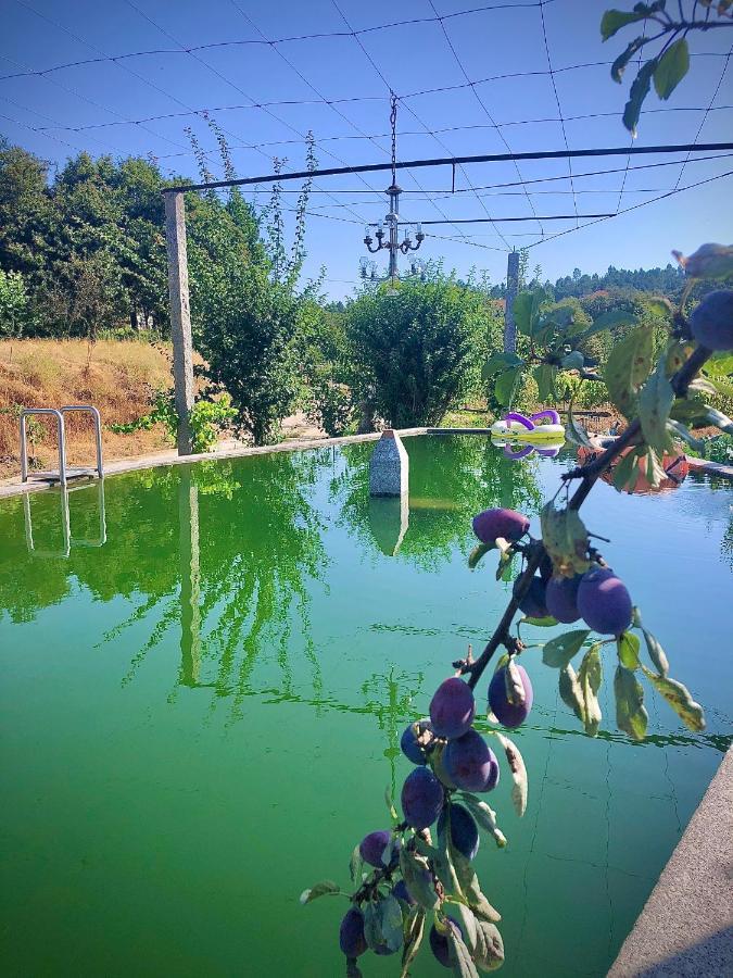 הוילה סלוריקו דה באשטו Casa Da Quinta Da Prelada Simao Partie Basse מראה חיצוני תמונה