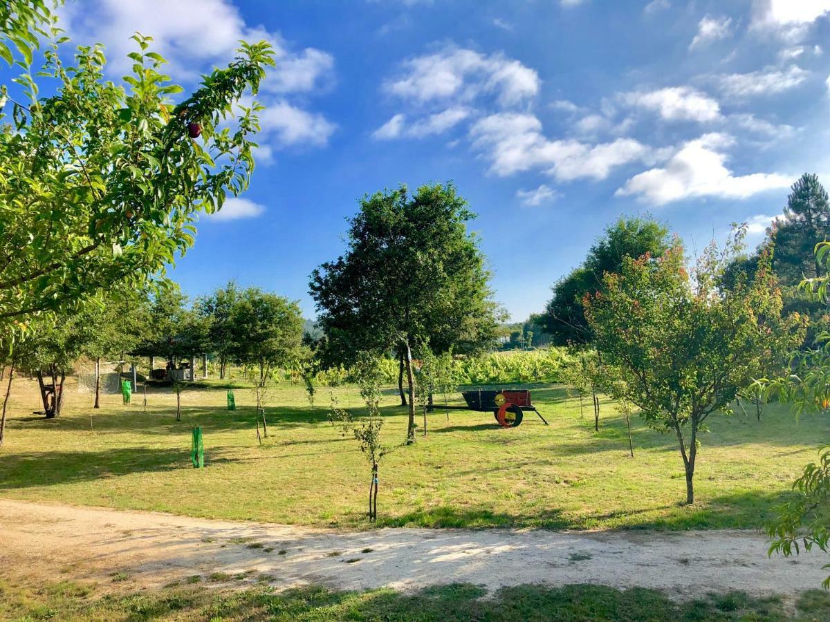 הוילה סלוריקו דה באשטו Casa Da Quinta Da Prelada Simao Partie Basse מראה חיצוני תמונה